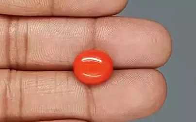 Red Coral (Moonga) - 6.67 Carats