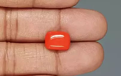 Red Coral (Moonga) - 4.98 Carats