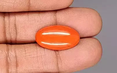 Red Coral - 10.36 Carats (Moonga - 11.29 Ratti)