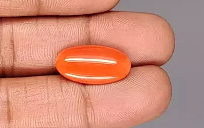 Red Coral - 6.91 Carats (Moonga - 7.53 Ratti)