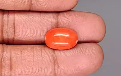 Red Coral - 6.66 Carats (Moonga - 7.26 Ratti)