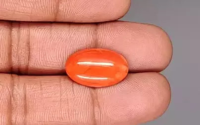 Red Coral - 8.22 Carats (Moonga - 8.96 Ratti)
