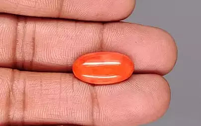 Red Coral - 7.07 Carats (Moonga - 7.71 Ratti)