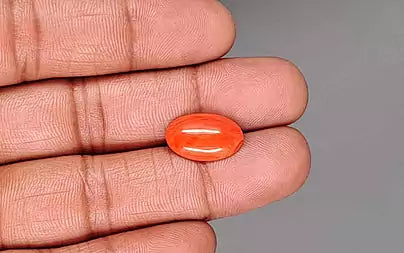 Red Coral - 5.08 Carats (Moonga - 5.54 Ratti)