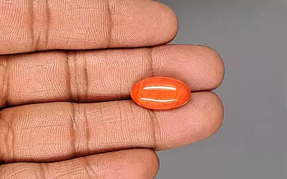 Red Coral - 8.14 Carats (Moonga - 8.87 Ratti)