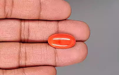 Red Coral - 6.55 Carats (Moonga - 7.14 Ratti)