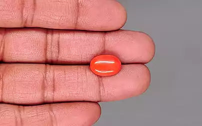 Red Coral - 5.11 Carats (Moonga - 5.57 Ratti)