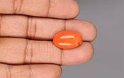 Red Coral - 13.22 Carats (Moonga - 14.41 Ratti)
