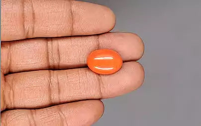 Red Coral - 10.35 Carats (Moonga - 11.28 Ratti)