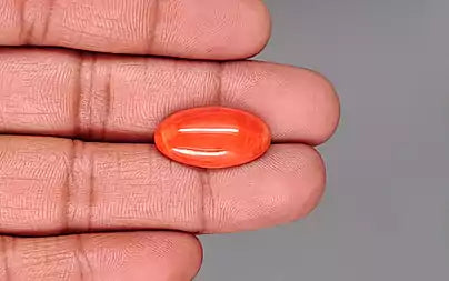 Red Coral - 10.90 Carats (Moonga - 11.88 Ratti)
