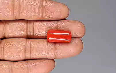 Red Coral (Moonga) - 17.53 Carats