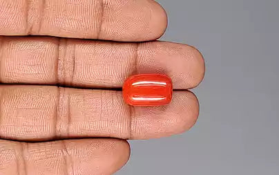 Red Coral (Moonga) - 15.21 Carats