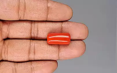 Red Coral (Moonga) - 16.44 Carats