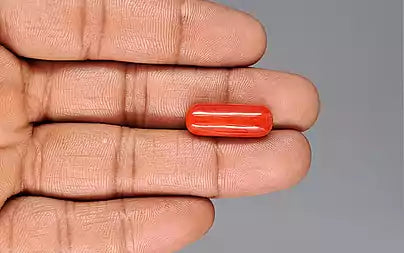 Red Coral (Moonga) - 12.85 Carats