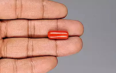 Red Coral - 8.51 Carats (Moonga - 9.28 Ratti)