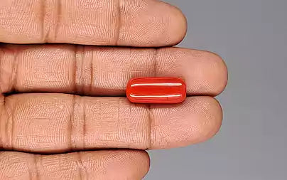 Red Coral (Moonga) - 11.37 Carats