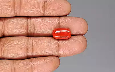 Red Coral (Moonga) - 7.46 Carats