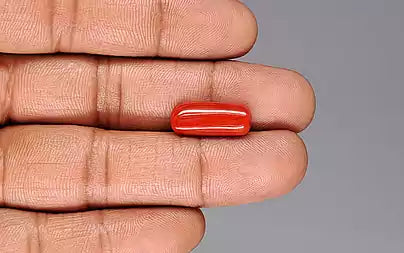 Red Coral - 7.38 Carats (Moonga - 8.04 Ratti)