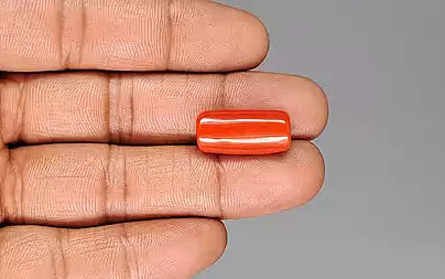 Red Coral - 16.58 Carats (Moonga - 18.07 Ratti)