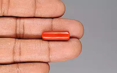 Red Coral (Moonga) - 9.06 Carats