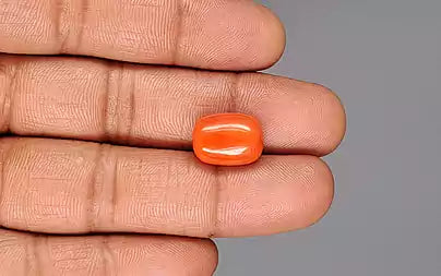 Red Coral (Moonga) - 11.19 Carats