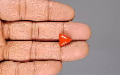 Red Coral - 3.59 Carats (Moonga - 3.91 Ratti)