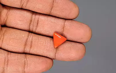 Red Coral - 3.32 Carats (Moonga - 3.62 Ratti)