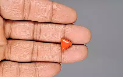 Red Coral - 3.06 Carats (Moonga - 3.34 Ratti)