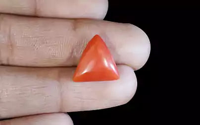 Red Coral (Moonga) - 8.58 Carats