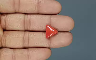 Red Coral (Moonga) - 4.92 Carats