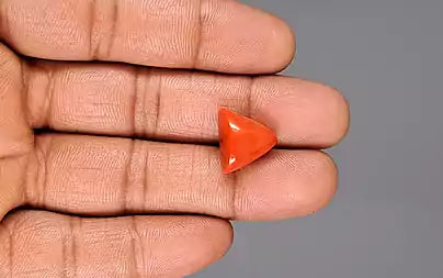 Red Coral - 10.16 Carats (Moonga - 11.07 Ratti)
