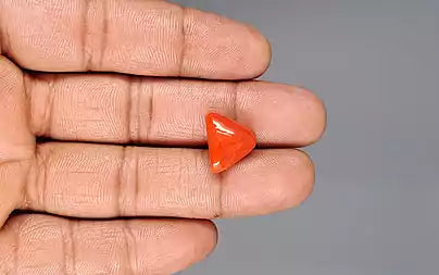 Red Coral (Moonga) - 9.22 Carats