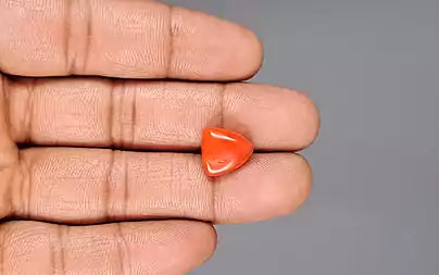 Red Coral (Moonga) - 5.80 Carats