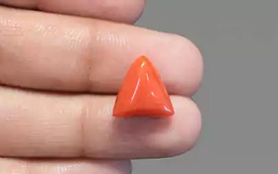 Red Coral (Moonga) - 7.48 Carats
