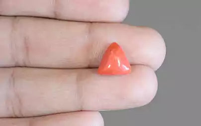 Red Coral (Moonga) - 3.58 Carats