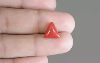 Red Coral - 3.54 Carats (Moonga - 3.86 Ratti)