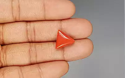 Red Coral (Moonga) - 8.27 Carats