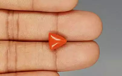 Red Coral (Moonga) - 3.36 Carats