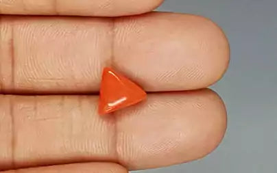 Red Coral (Moonga) - 3.38 Carats