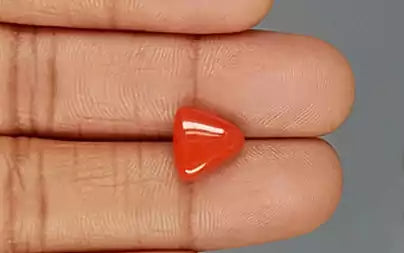 Red Coral (Moonga) - 4.07 Carats