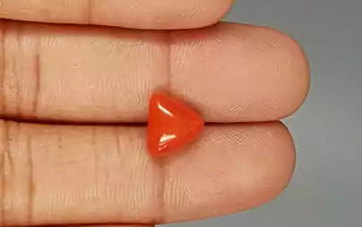 Red Coral (Moonga) - 3.66 Carats