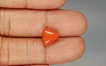 Red Coral - 3.91 Carats (Moonga - 4.26 Ratti)
