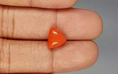 Red Coral (Moonga) - 3.90 Carats