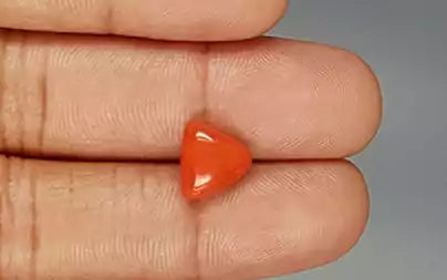 Red Coral (Moonga) - 3.54 Carats