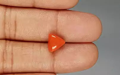 Red Coral (Moonga) - 3.39 Carats