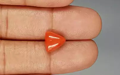 Red Coral (Moonga) - 3.82 Carats
