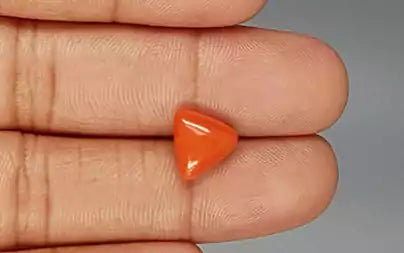 Red Coral (Moonga) - 3.70 Carats