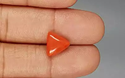 Red Coral (Moonga) - 3.92 Carats