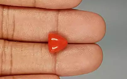 Red Coral (Moonga) - 3.86 Carats