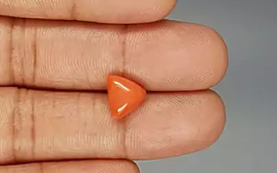 Red Coral (Moonga) - 3.11 Carats